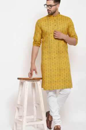 Tradional Men Embroidered Cotton Blend Straight Kurta